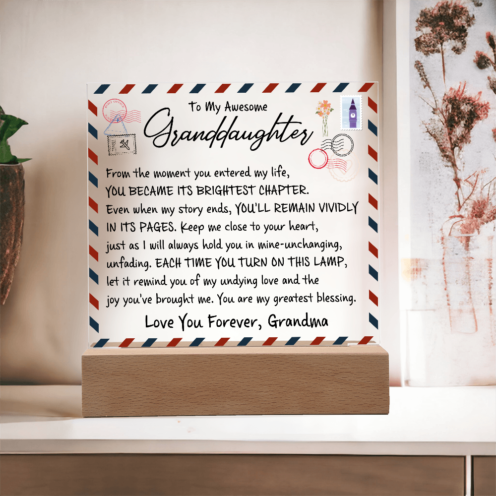 To My Awesome Granddaughter | Moment You Enter My Life | Acrylic Plaque