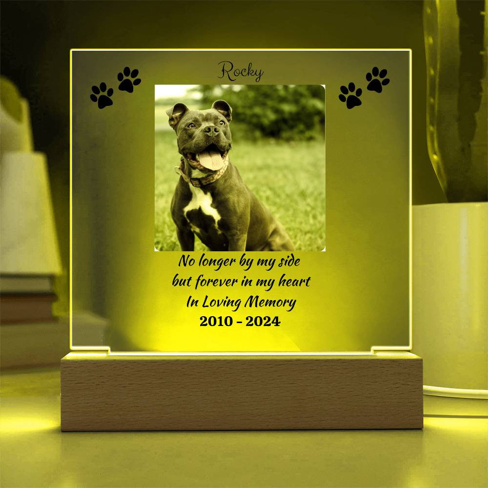 Personalized Pet Memorial | Acrylic Square Plaque