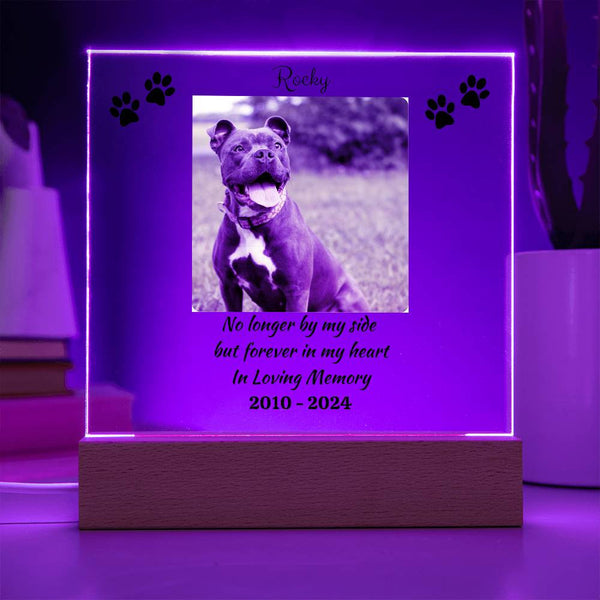 Personalized Pet Memorial | Acrylic Square Plaque