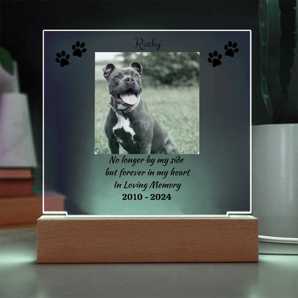 Personalized Pet Memorial | Acrylic Square Plaque