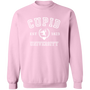 Cupid University | Sweatshirt