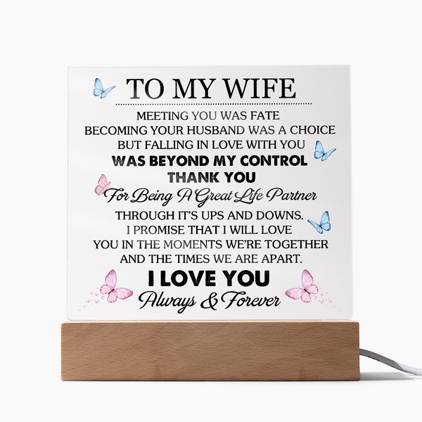 To My Wife | Meeting You Was Fate | Acrylic Plaque