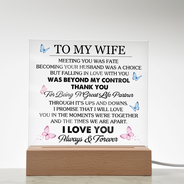 To My Wife | Meeting You Was Fate | Acrylic Plaque