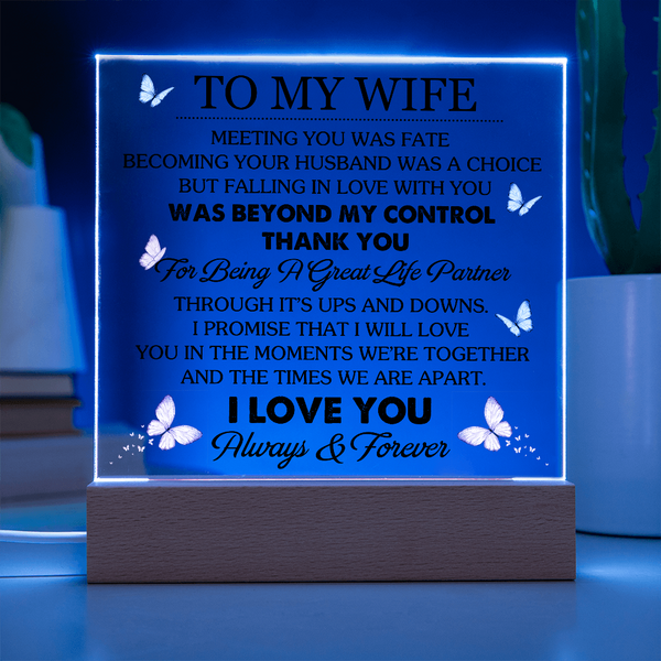 To My Wife | Meeting You Was Fate | Acrylic Plaque