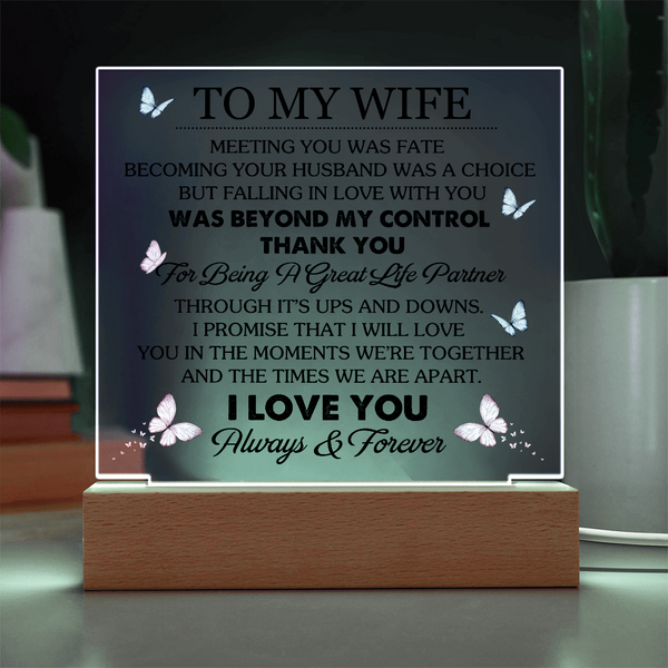 To My Wife | Meeting You Was Fate | Acrylic Plaque