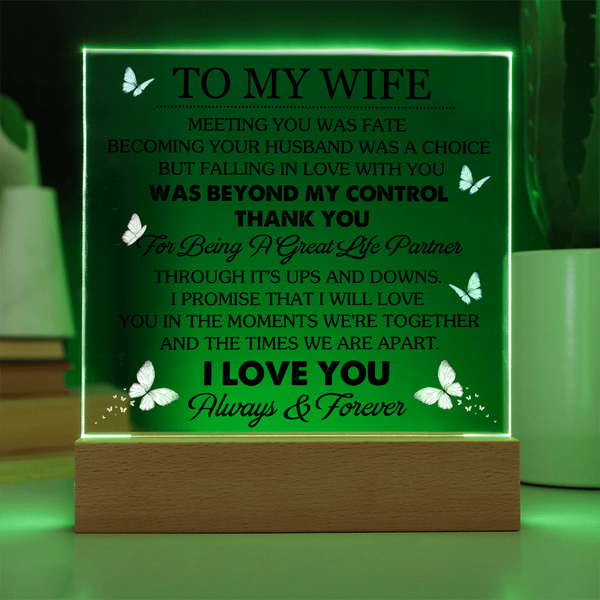 To My Wife | Meeting You Was Fate | Acrylic Plaque