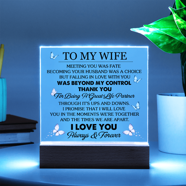To My Wife | Meeting You Was Fate | Acrylic Plaque